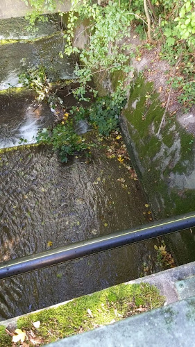 Opinii despre SC Speise- & Clubgaststätte în Geislingen an der Steige - Gastronomie und Hotellerie