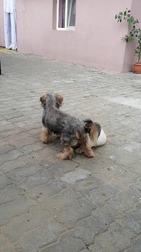 Gaststätte Zur Fischerhütte am Bahnweiher - Gastronomie und Hotellerie