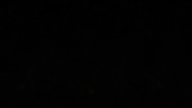 Eiscafé-Pizzeria-Hotel Rialto - Gastronomie und Hotellerie