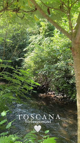 TOSCANA Restaurant Pizzeria Biebergemünd - Gastronomie und Hotellerie