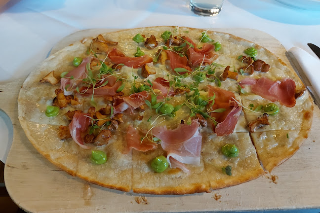 Rheinterrassen Gasthaus am Fluss - Gastronomie und Hotellerie