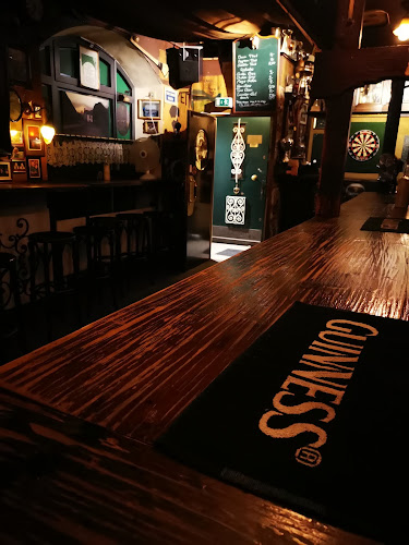 Comentarii opinii despre Irish Folk Pub aka "The Old Irish"
