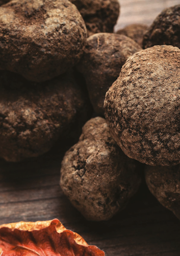 Schoenholz Brasserie - Berlin