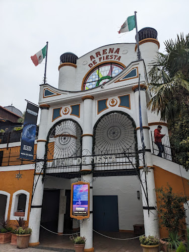 Berggeiststraße 100, 50321 Brühl