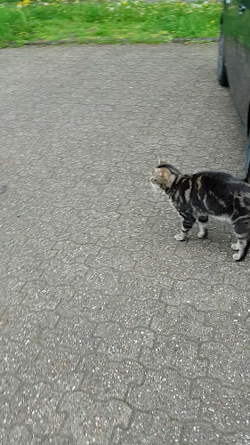 Oliver's Burger - Overath