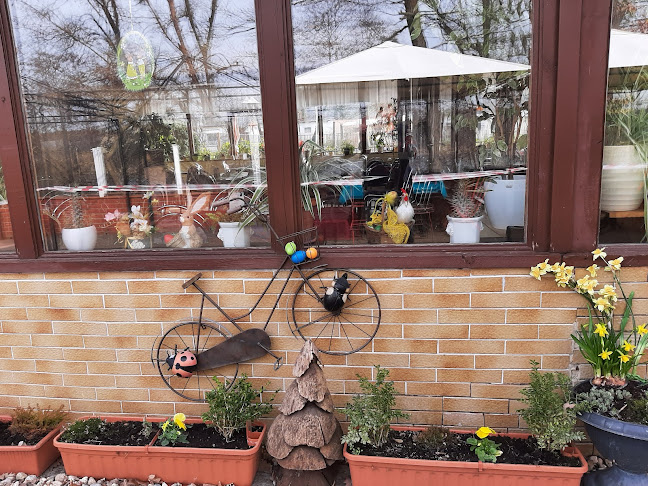 Opinii despre Eiscafé am See în Stechow-Ferchesar - Gastronomie und Hotellerie