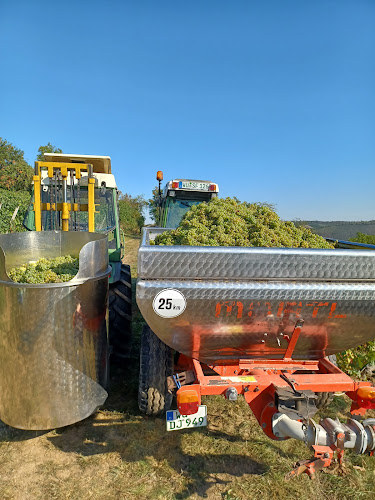 Weingut Fesel Weinverkauf / Eventlocation