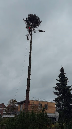 Café Seeger - Gastronomie und Hotellerie