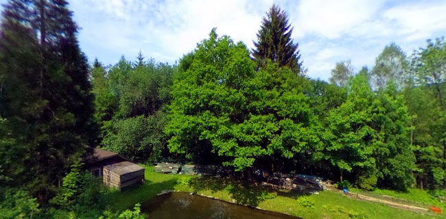 Opinii despre Pizzeria Maaßener Gaipel Bergstadt Lautenthal în Langelsheim - Gastronomie und Hotellerie