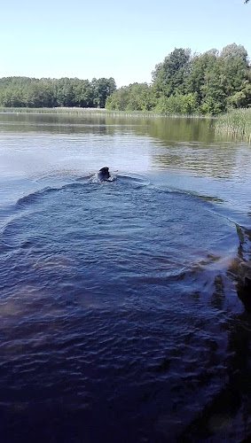 Opinii despre Fischhof Mellensee în Am Mellensee - Gastronomie und Hotellerie