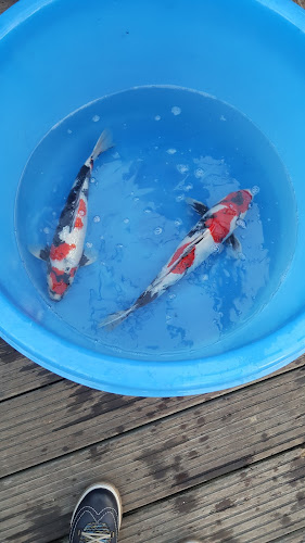 Josef Bertram GmbH - Meckenheim