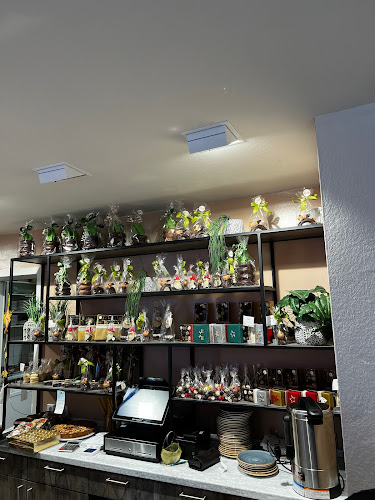 Café Tiefburg - Heidelberg