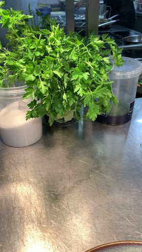 Opinii despre Ristorante Acquario Papa GmbH în Essen - Gastronomie und Hotellerie