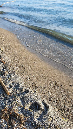 LEOPOLD am See - Gastronomie und Hotellerie