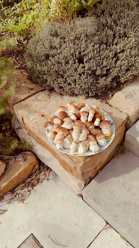 Opinii despre Stadthotel Waldhorn | Restaurant Holz & Feuer în Kirchheim unter Teck - Gastronomie und Hotellerie