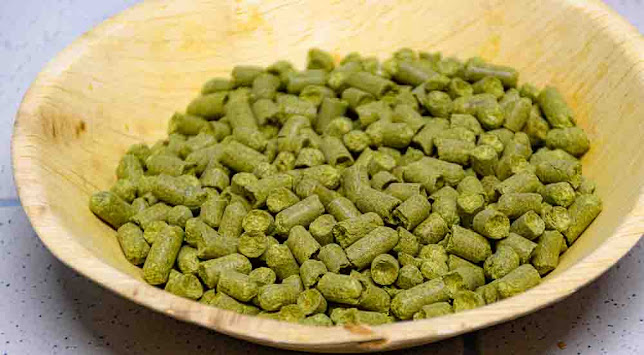 Opinii despre Braugasthaus Naumburg în Naumburg (Saale) - Gastronomie und Hotellerie