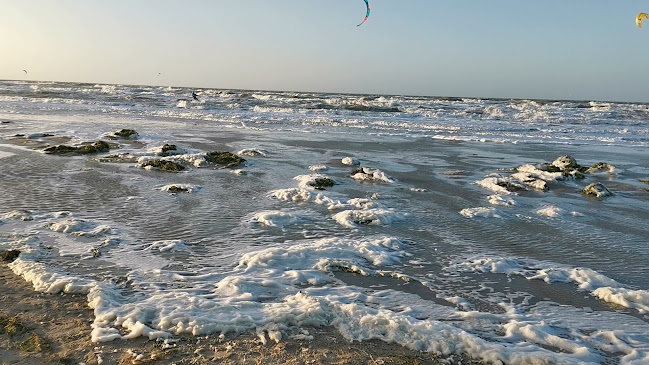 Opinii despre Weber’s Mein Kaffeehaus în Rostock - Gastronomie und Hotellerie