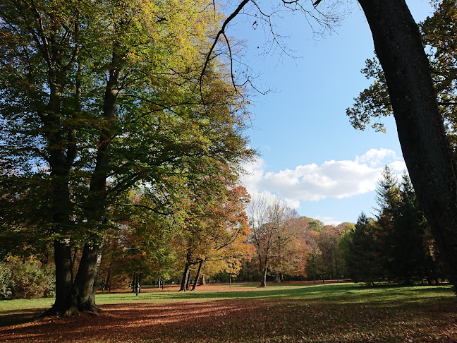 Opinii despre Seehaus im Englischen Garten în München - Gastronomie und Hotellerie