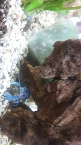 Pastor-Böhm-Straße 33A, 53844 Troisdorf