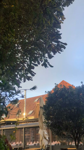 Zum Platzhirsch - Gastronomie und Hotellerie