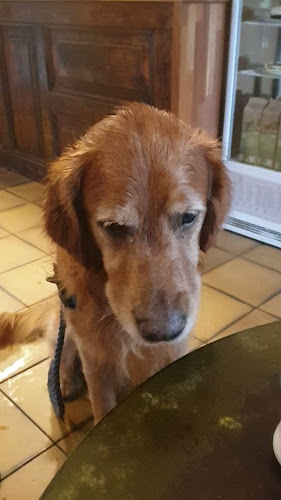 Mokkasin Cafe Schuhe & Schönes