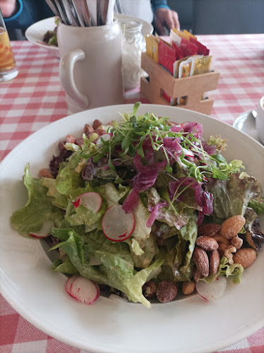 Rheinterrassen Gasthaus am Fluss - Mannheim