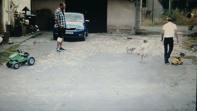 Restaurant CHALKIDIKI ATHOC