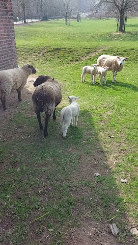 Café Seeger - Nettetal