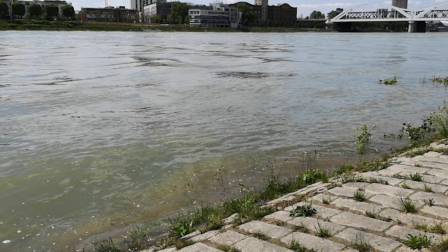 Rheinpromenade 15, 68163 Mannheim