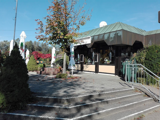 Comentarii opinii despre Ristorante Pizzeria del Parco