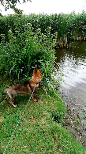 Fischhof Mellensee - Am Mellensee