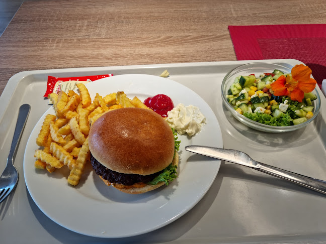 Dieselstraße 12, 49716 Meppen