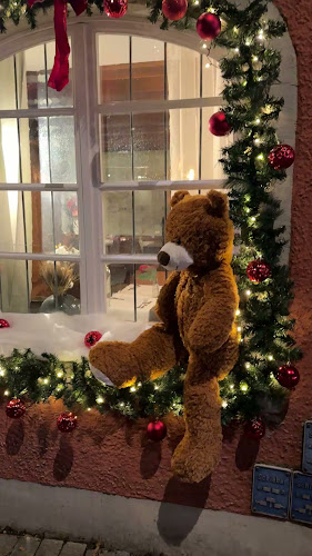 Opinii despre Restaurant Dischinger în Konstanz - Gastronomie und Hotellerie