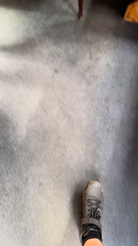 Café Schwarzer Riese