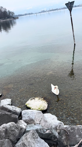 Bodensee, (Bodensee, (Bodensee, Alwindstraße 18-20, 88131 Lindau