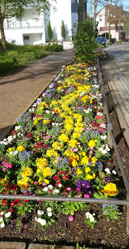 Comentarii opinii despre Wochenmarkt Bad Rappenau