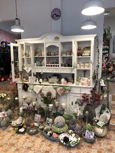 Comentarii opinii despre Mediterraneo