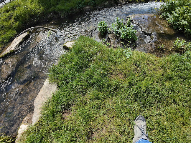 Opinii despre Bäckerei Konditorei Wirth Café Mühle în München - Gastronomie und Hotellerie