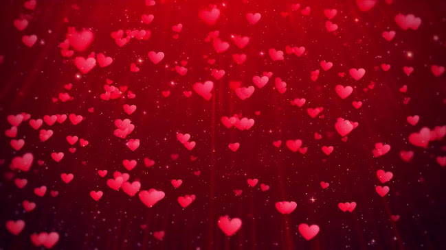 Viet Pho - Vietnamese Cuisine | Restaurant in Heidenheim