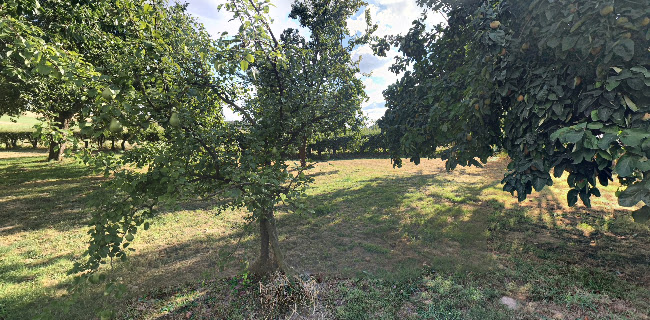 Bauernhofcafé Thing-Hof - Möhnesee