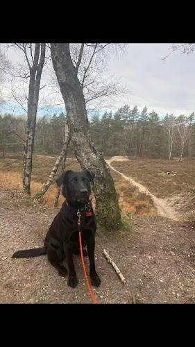 An St. Sebastian 2, 41334 Nettetal