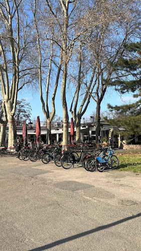 Rheinterrassen Gasthaus am Fluss - Gastronomie und Hotellerie