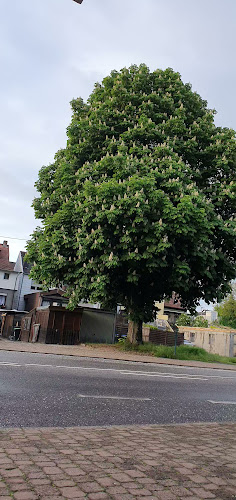 Opinii despre Restaurant Stormwind în Ensdorf - Gastronomie und Hotellerie