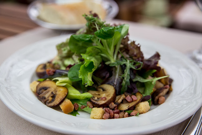 Schurk Markelsheim Weinlauben Restaurant - Gastronomie und Hotellerie