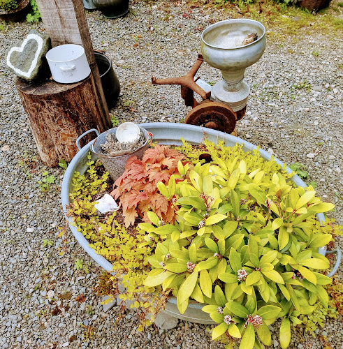 Opinii despre Café Zeit am Wasserrad în Schmallenberg - Gastronomie und Hotellerie