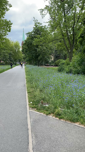 Trattoria Pizzeria "Punto e Virgola"