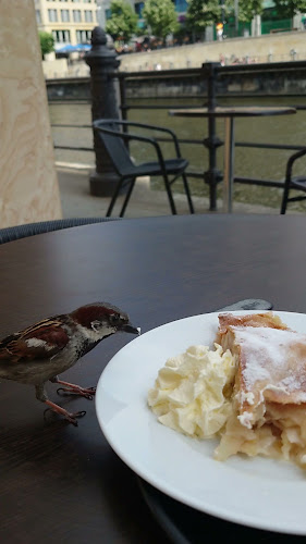 Opinii despre Domcafé im Berliner Dom în Berlin - Gastronomie und Hotellerie