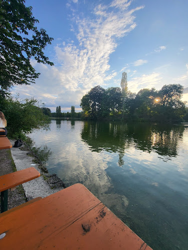 Opinii despre Seehaus im Englischen Garten în München - Gastronomie und Hotellerie