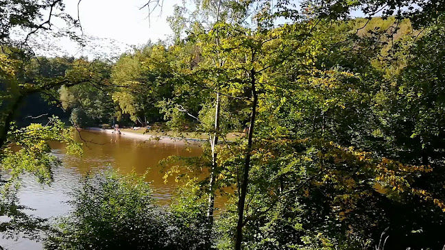 Restaurant & Waldcafé Am Kunstteich - Sangerhausen