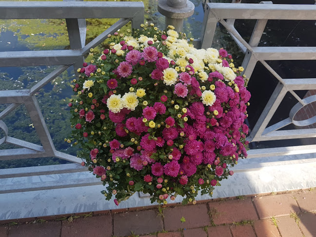 Eiscafé Bella Vita - Gastronomie und Hotellerie